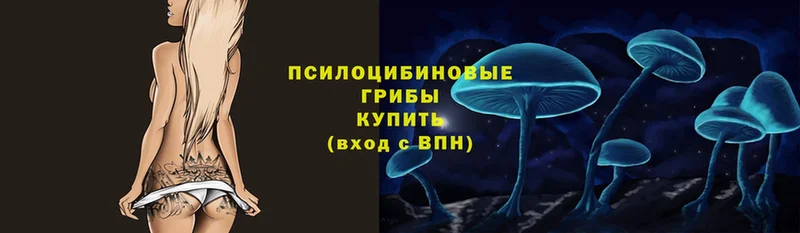 Псилоцибиновые грибы MAGIC MUSHROOMS  Боровичи 